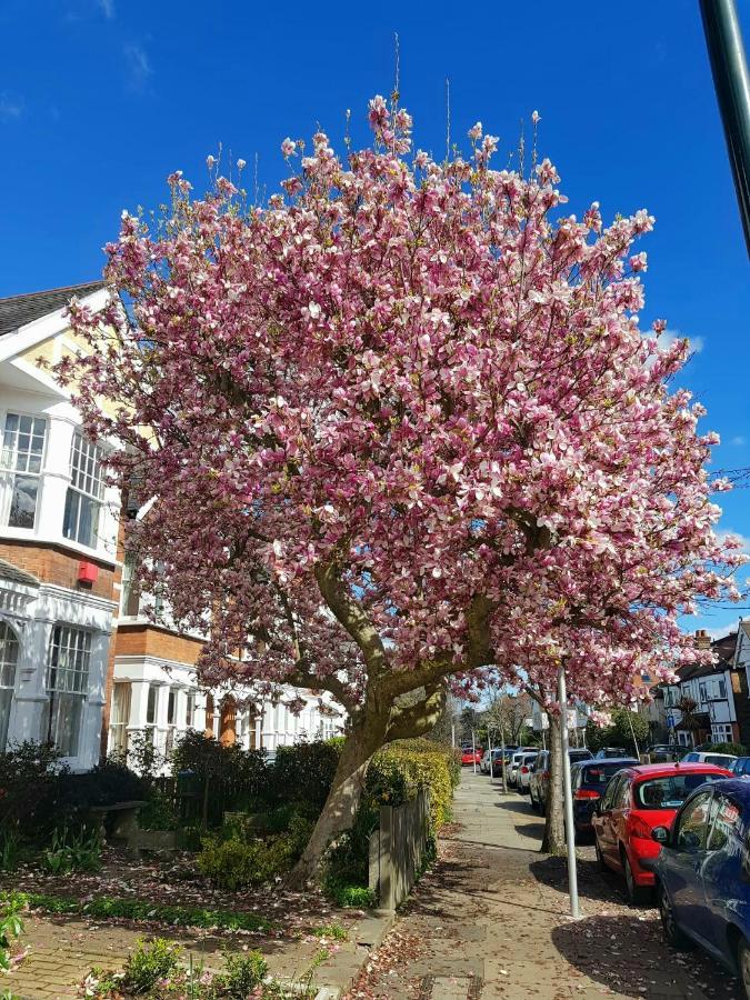Kew Gardens - Private Double Room Richmond London - Homestay المظهر الخارجي الصورة