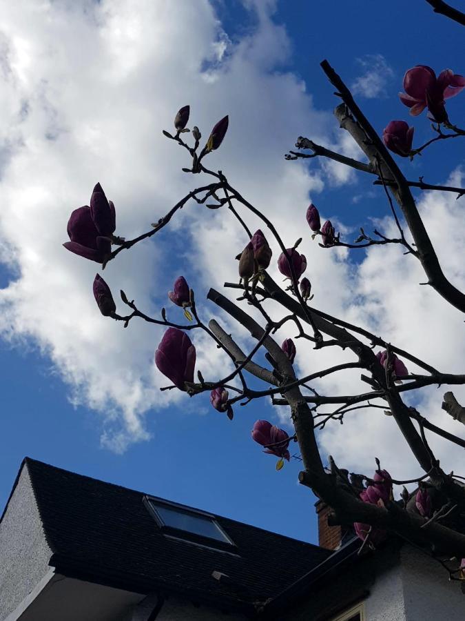 Kew Gardens - Private Double Room Richmond London - Homestay المظهر الخارجي الصورة